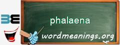 WordMeaning blackboard for phalaena